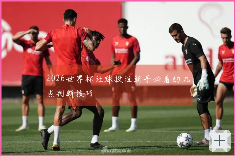 2026世界杯让球投注新手必看的几点判断技巧